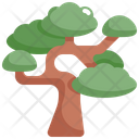 پیش‌نمایش فایل bonsai-2484659 از پک درخت