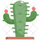 پیش‌نمایش فایل cactus-2484652 از پک درخت