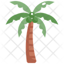 پیش‌نمایش فایل coconut-tree-2484675 از پک درخت