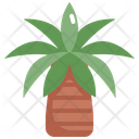 پیش‌نمایش فایل palm-tree-2484656 از پک درخت