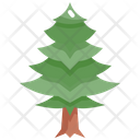 پیش‌نمایش فایل pine-tree-2484655 از پک درخت