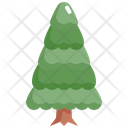 پیش‌نمایش فایل pine-tree-2484657 از پک درخت
