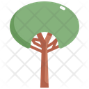 پیش‌نمایش فایل tree-2484664 از پک درخت