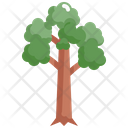 پیش‌نمایش فایل tree-2484666 از پک درخت