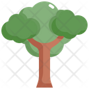 پیش‌نمایش فایل tree-2484672 از پک درخت
