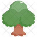 پیش‌نمایش فایل tree-2484674 از پک درخت