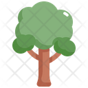 پیش‌نمایش فایل tree-2484676 از پک درخت