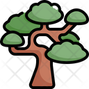 پیش‌نمایش فایل bonsai-2484629 از پک درخت