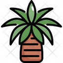 پیش‌نمایش فایل palm-tree-2484626 از پک درخت