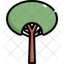 پیش‌نمایش فایل tree-2484634 از پک درخت