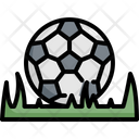 پیش‌نمایش فایل soccer-ball-grass-2570107 از پک فوتبال