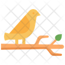 پیش‌نمایش فایل bird-3372910 از پک بهار