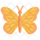 پیش‌نمایش فایل butterfly-3372911 از پک بهار