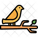 پیش‌نمایش فایل bird-3372880 از پک بهار