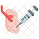 پیش‌نمایش فایل organs-3431395 از پک واکسن
