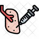 پیش‌نمایش فایل organs-3431365 از پک واکسن