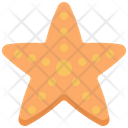 پیش‌نمایش فایل starfish-3662075 از پک تابستان