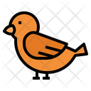 پیش‌نمایش فایل bird-3996548 از پک حیوانات