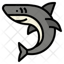 پیش‌نمایش فایل shark-3996551 از پک حیوانات