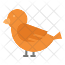 پیش‌نمایش فایل bird-3996579 از پک حیوانات