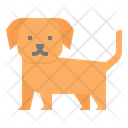 پیش‌نمایش فایل dog-3996589 از پک حیوانات