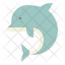 پیش‌نمایش فایل dolphin-3996580 از پک حیوانات
