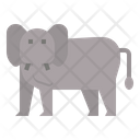 پیش‌نمایش فایل elephant-3996567 از پک حیوانات
