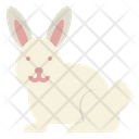 پیش‌نمایش فایل rabbit-3996586 از پک حیوانات