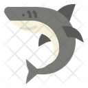 پیش‌نمایش فایل shark-3996582 از پک حیوانات
