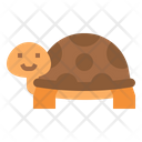 پیش‌نمایش فایل turtle-3996578 از پک حیوانات
