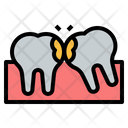 پیش‌نمایش فایل tooth-wisdom-4457004 از پک دندانپزشکی