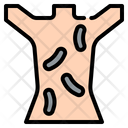 پیش‌نمایش فایل leech-4582381 از پک طب جایگزین