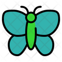 پیش‌نمایش فایل butterfly-4938278 از پک بهار