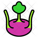 پیش‌نمایش فایل kohlrabi-4938284 از پک بهار