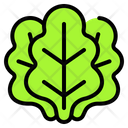 پیش‌نمایش فایل lettuce-4938286 از پک بهار