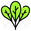 پیش‌نمایش فایل spinach-4938294 از پک بهار