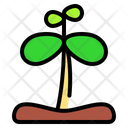 پیش‌نمایش فایل sprout-4938295 از پک بهار
