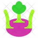 پیش‌نمایش فایل kohlrabi-4970116 از پک بهار