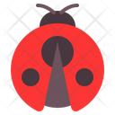 پیش‌نمایش فایل ladybug-4970117 از پک بهار