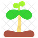 پیش‌نمایش فایل sprout-4970127 از پک بهار