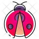 پیش‌نمایش فایل ladybug-10953986 از پک بهار
