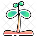 پیش‌نمایش فایل sprout-10953996 از پک بهار