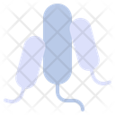پیش‌نمایش فایل bacteria-14085741 از پک چکاپ سلامت