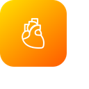 پیش‌نمایش فایل heart-midical-breath-cardiology-organ-life از پک پزشکی