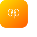 پیش‌نمایش فایل kidney-organ-health-medical-renal-kidneys از پک پزشکی