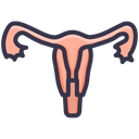 پیش‌نمایش فایل uterus-human-body-part-medical-tube-uterine-6 از پک پزشکی