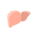 پیش‌نمایش فایل health-liver-organ-surgery-human-body-part-7 از پک پزشکی
