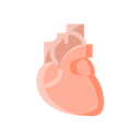 پیش‌نمایش فایل heart-medical-breath-cardiology-organ-life-1 از پک پزشکی