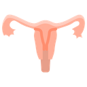 پیش‌نمایش فایل uterus-human-body-part-medical-tube-uterine-7 از پک پزشکی