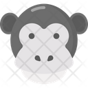 پیش‌نمایش فایل monkey-3836711 از پک حیوانات